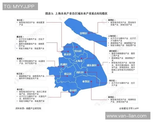 独家解读上海乒乓球队各队员实力对比与未来发展潜力分析 独家解读上海乒乓球队各队员实力对比与未来发展潜力分析